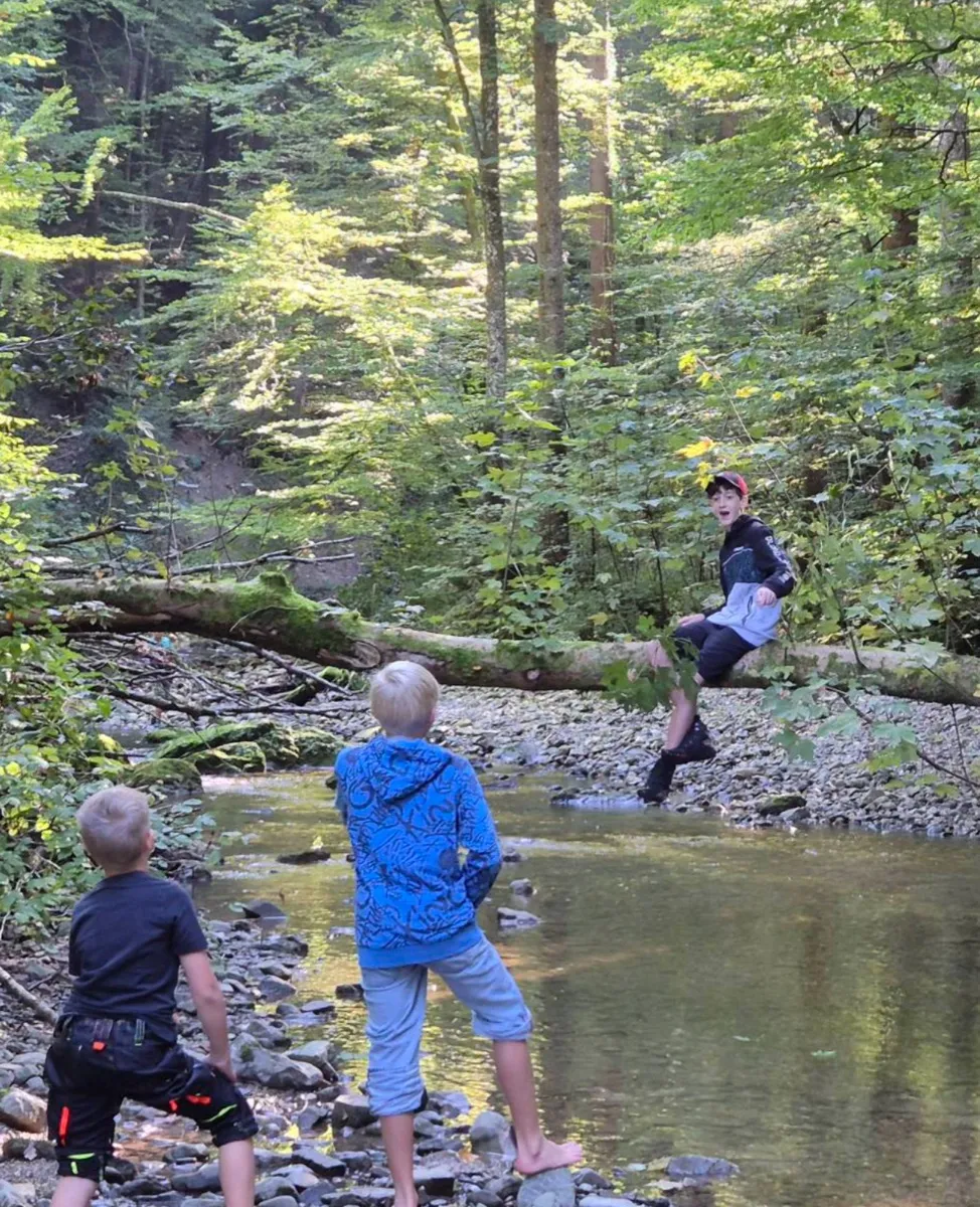 Kinder erkunden einen Bach im Wald.